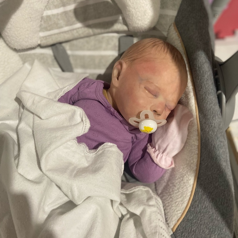 Reborn cuddle baby dustin